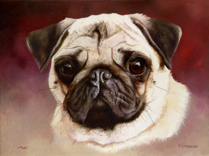 Pug Limited Edition Print by Equestrian Artist Joanna Stribbling